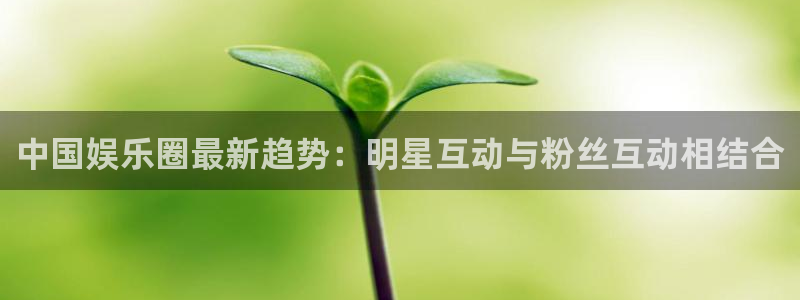 星亿娱乐平台官网入口下载