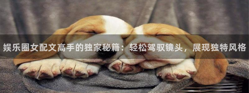 星亿娱乐app入口