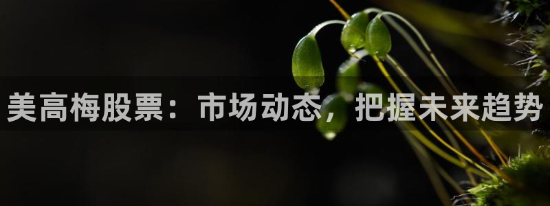 星亿娱乐网站平台：美高梅股票：市场动态，把握未来趋势