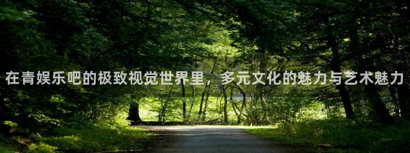 壹号电子娱乐app下载最新版本：在青娱乐吧的极致视觉世界里，多元文化的魅力与艺术魅力