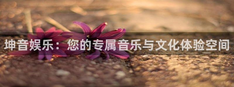 南宫星亿娱乐官网版：坤音娱乐：您的专属音乐与文化体验空间
