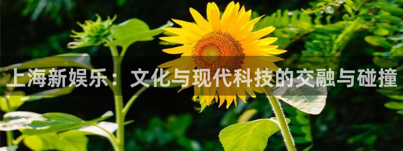 星亿娱乐软件：上海新娱乐：文化与现代科技的交融与碰撞
