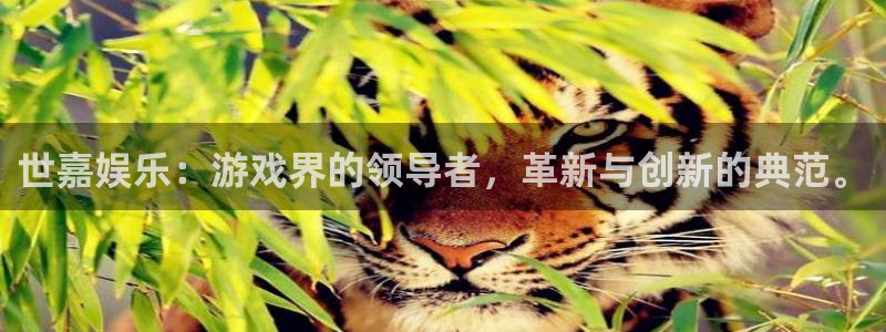 星亿娱乐预测pc在线预测网址：世嘉娱乐：游戏界的领导者，革新与创新的典范。