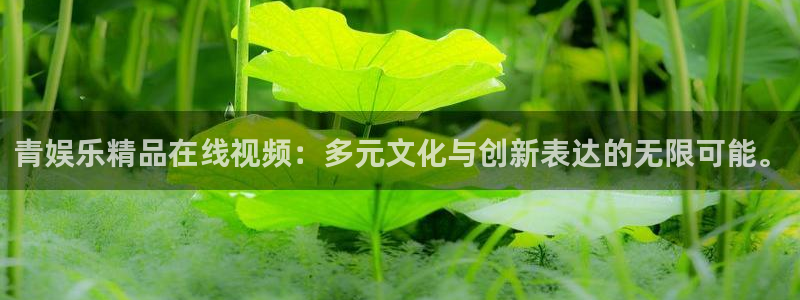 壹号app下载苹果：青娱乐精品在线视频：多元文化与创新表达的无限可能。