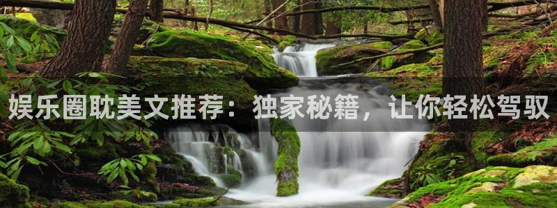 星亿娱乐下载并安装：娱乐圈耽美文推荐：独家秘籍，让你轻松驾驭