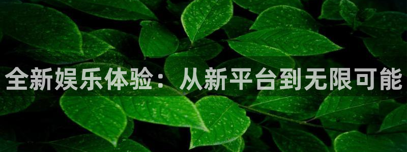 星亿娱乐官网版下载链接