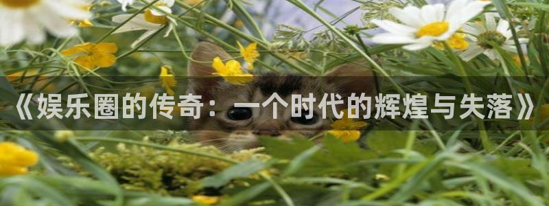 星亿娱乐路线1：《娱乐圈的传奇：一个时代的辉煌与失落》