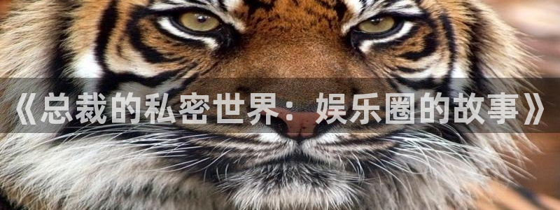 苹果版星亿娱乐下载安装：《总裁的私密世界：娱乐圈的故事》