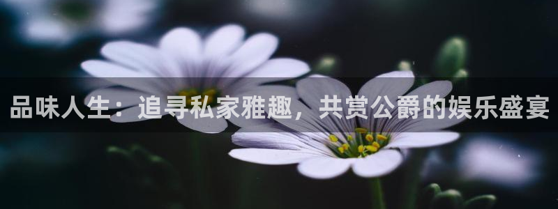 星亿娱乐游戏官网入口：品味人生：追寻私家雅趣，共赏公爵的娱乐盛宴