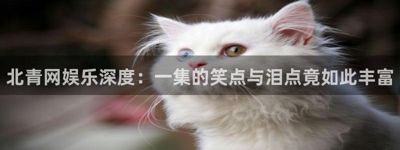 星亿娱乐分红代理计划：北青网娱乐深度：一集的笑点与泪点竟如此丰富