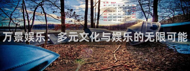 星亿娱乐网站：万景娱乐：多元文化与娱乐的无限可能