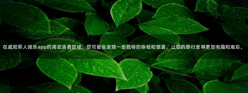 下载星亿娱乐app：在威尼斯人娱乐app的周边消费区域，您可能会发现一些独特的体验和惊喜，让您的旅行变得更加有趣和难忘。
