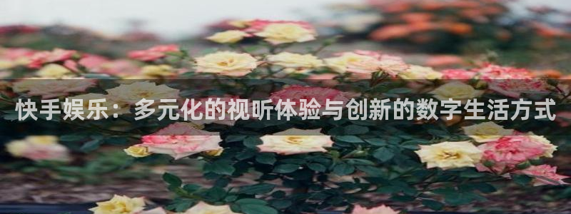 南宫星亿娱乐：快手娱乐：多元化的视听体验与创新的数字生活方式