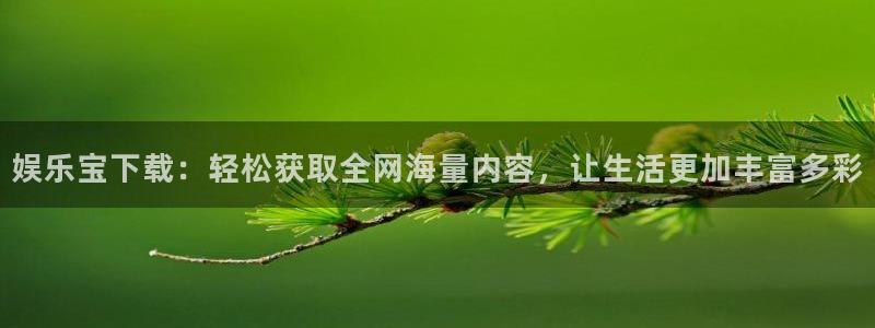 星亿娱乐.com：娱乐宝下载：轻松获取全网海量内容，让生活更加丰富多彩