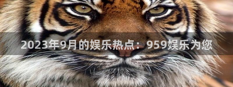 星亿娱乐注册网站