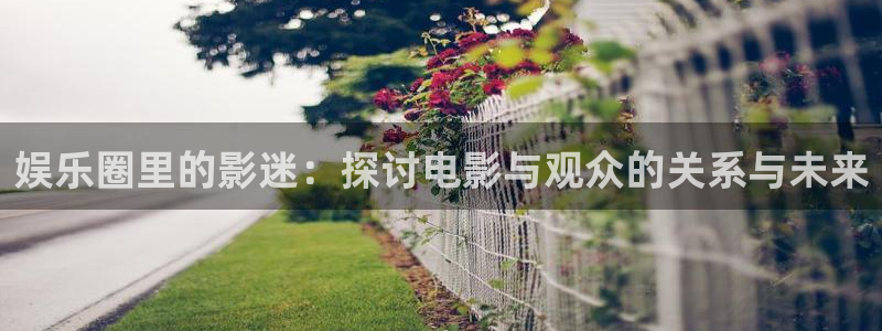 壹号平台app下载安装：娱乐圈里的影迷：探讨电影与观众的关系与未来