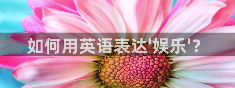 星亿娱乐app下载安装最新版：如何用英语表达\'娱乐\'？