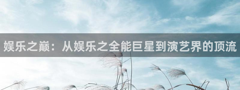 星亿娱乐充值怎么退款：娱乐之巅：从娱乐之全能巨星到演艺界的顶流