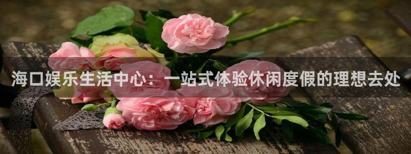 星亿娱乐免费注册：海口娱乐生活中心：一站式体验休闲度假的理想去处