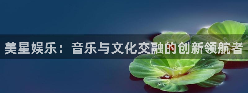 星亿娱乐麻将胡了：美星娱乐：音乐与文化交融的创新领航者