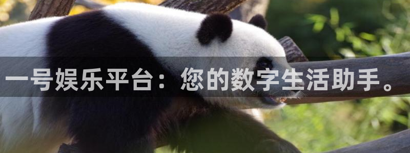 星亿娱乐.com