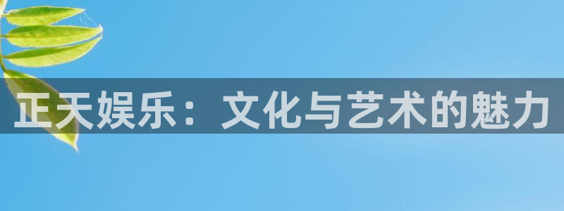 星亿娱乐游戏官网版