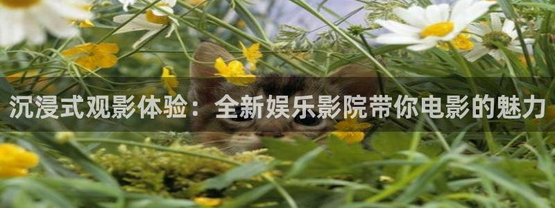星亿娱乐退款怎么退：沉浸式观影体验：全新娱乐影院带你电影的魅力