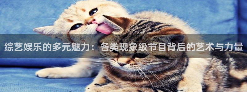 星亿娱乐平台官网入口下载