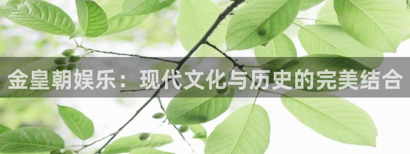 星亿娱乐科技赋能,让平台更有趣：金皇朝娱乐：现代文化与历史的完美结合