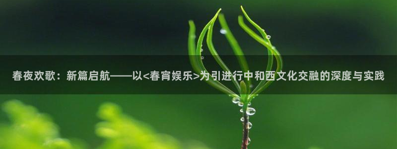 星亿娱乐是什么：春夜欢歌：新篇启航——以<春宵娱乐>为引进行中和西文化交融的深度与实践