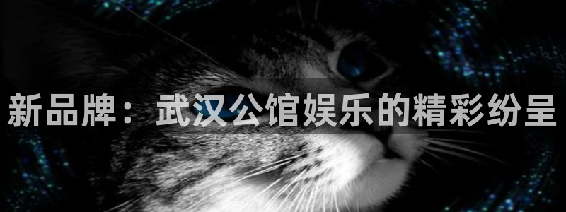 壹号平台注册链接官网下载：新品牌：武汉公馆娱乐的精彩纷呈