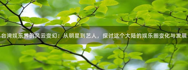 星亿娱乐是啥：台湾娱乐界的风云变幻：从明星到艺人，探讨这个大陆的娱乐圈变化与发展