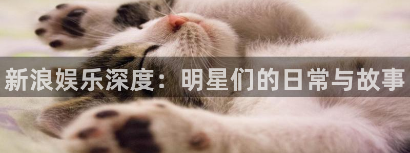 壹号大舞台：新浪娱乐深度：明星们的日常与故事