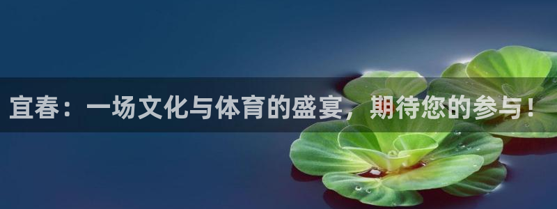 壹号平台下载