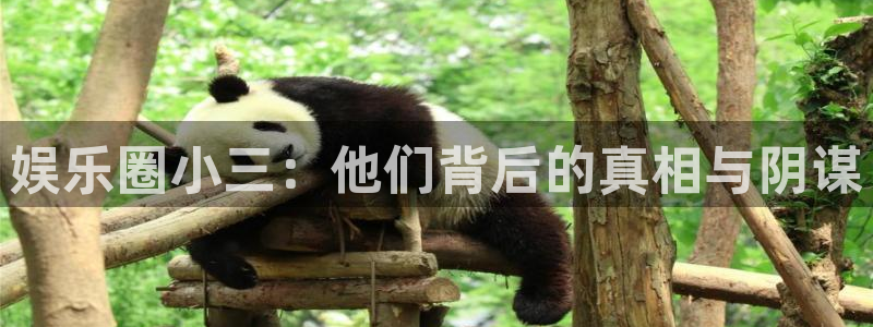星亿娱乐网页版登：娱乐圈小三：他们背后的真相与阴谋